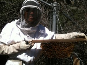 Philip_hive_hosting