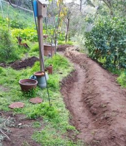 Earthworks swale on contour fed by recycled greywater.