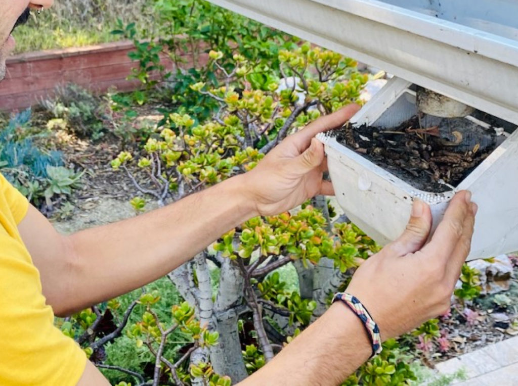 rainwater-and-greywater-specialists-in-san-diego