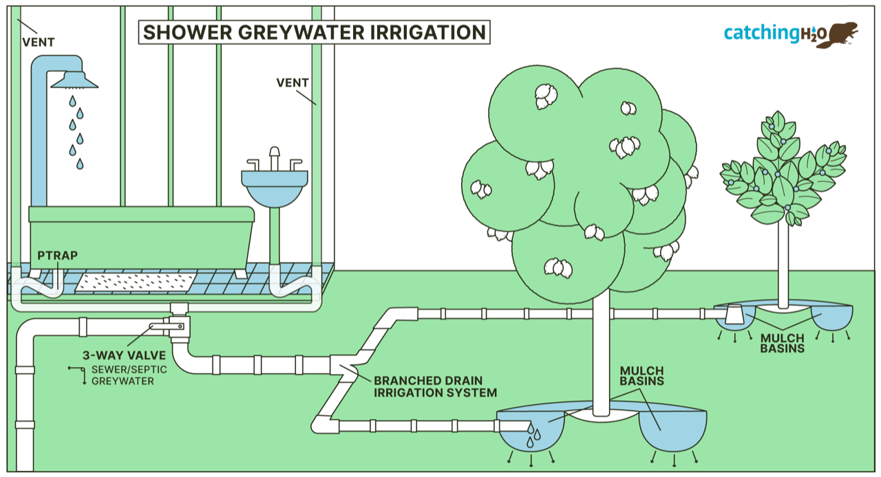 Branched Drain Greywater System