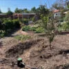 Greywater Basin