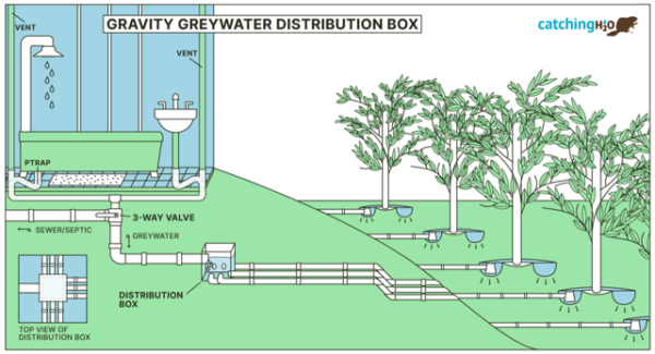 Greywater Distribution Box
