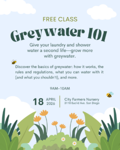Greywater 101