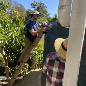 Img 3794