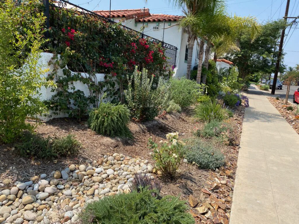 Greywater Garden